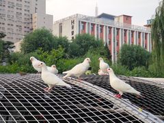 -泉城广场