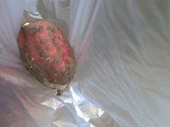 -前小桔亲子创意农场·草莓采摘·露营烧烤