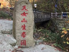 -天女山森林公园