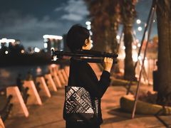 -宝安西湾红树林湿地公园