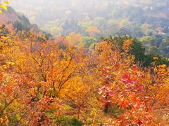 -香山公园