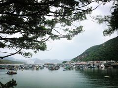 -南丫岛