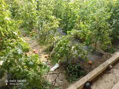 -万源龙顺度假庄园生态观光园