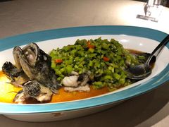 青椒龙趸鱼-尚一汤·粤菜海鲜(环球港店)