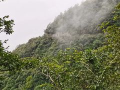 -武陵山森林公园