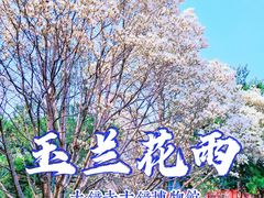 -大钟寺古钟博物馆