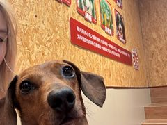 -和它·交个朋友·狗咖猫咖(爱琴海店)