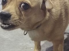 -幸福西饼面包茶饮(车公庙店)