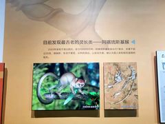 -柳州白莲洞洞穴科学博物馆