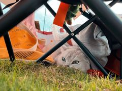 -风云岭森林公园