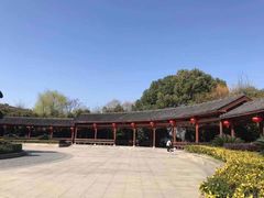 -金银湖国家城市湿地公园