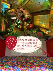 -恐龙探索乐园(磁器口店)