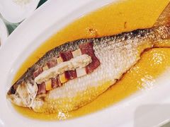 陈年花雕蒸鲥鱼-福1088