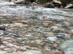 -西岭雪山大飞水景区