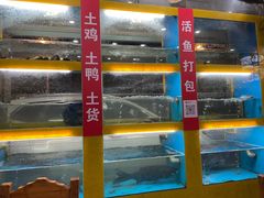 -淳安二十八道·美食汇·淳鱼馆(阳光路店)