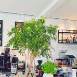 北京室外莫奈花园咖啡厅☕超美花园🌼下午茶