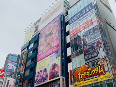 -秋叶原电器街