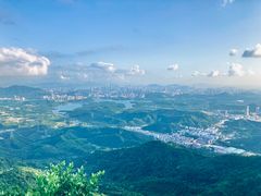 -阳台山森林公园