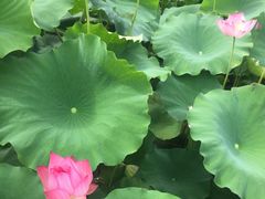 -古田会议纪念馆