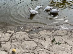 -黄兴公园