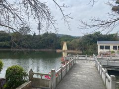-大屏嶂森林公园