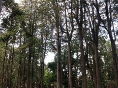 -西昌邛海宾馆