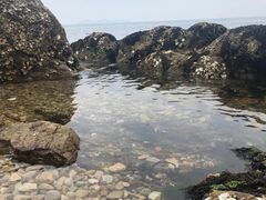 -棒棰岛宾馆景区