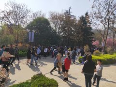 -西安青龙寺遗址景区