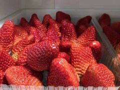-米彩料理(西丽店)