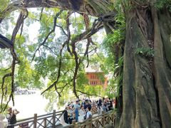 -福建土楼(南靖)景区