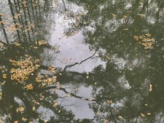 -苏州东太湖生态园