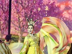 -金东尼人妖秀