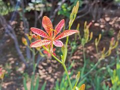 -永定河休闲森林公园