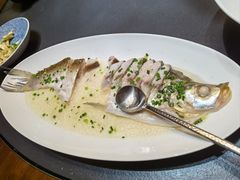 -曼格纳·曼芯馆(杨浦店)