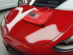 -TESLA 特斯拉(郑州正弘城体验店)