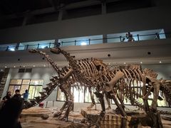 -自贡恐龙博物馆