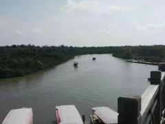 -东寨港红树林旅游区