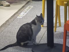 -谜盒子奇幻密室(南屏店)