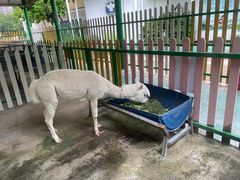 -南湖梦幻岛