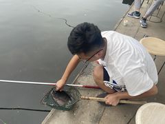 -特种渔场