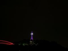 -金鸡山公园