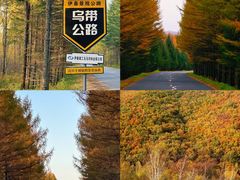 -老渔翁笨锅炖(迎宾路总店)