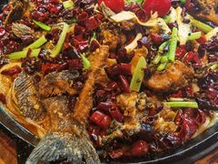 -老板恋上鱼(恒隆广场店)