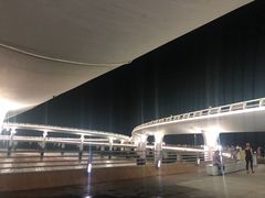 -演武大桥观景平台