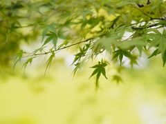 -嘉定博物馆