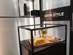 -崇尚GAVIN STYLE臻选