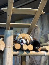 -Zoolung Zoolung动物主题公园(海信广场店)