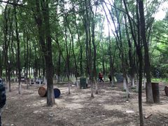 -亲兄弟真人CS团建拓展基地
