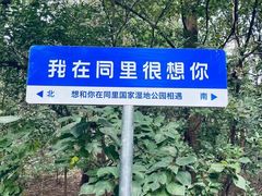 -同里国家湿地公园