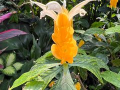 -北京植物园-展览温室